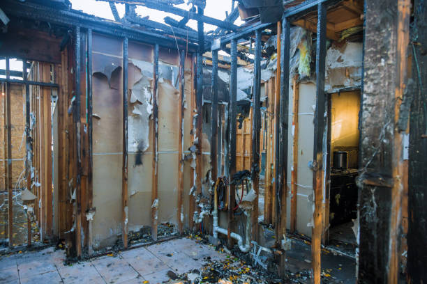 Professional Fire Damage Removal technician working in Spicewood, TX