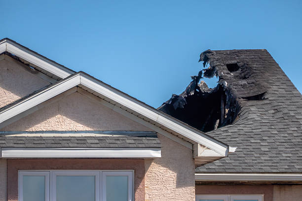 Top rated local Fire Damage Removal specialists in Spicewood, TX